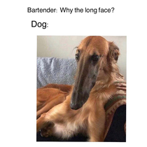 why the long face