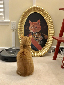 Wife asked if we could hang a picture of the cat in the hallway Photoshop to the rescue