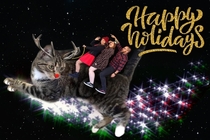 Wife wanted a holiday card with our kitten
