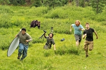 Wildlife photography gone wrong