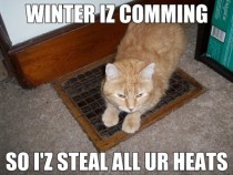 Winter came to central Illinois today so one of our cats is stealing all our heats She refuses to move whenever the heat turns on Oh Kendall