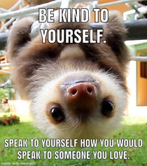 Wise words from a baby sloth