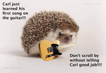 Yes Carl