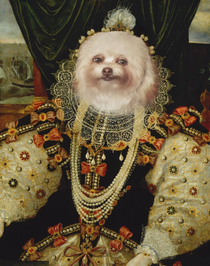 Yesterday someone shared a picture of a dog sitting on a chair looking smug I was inspired to make this Ive named it Queen Elizabark