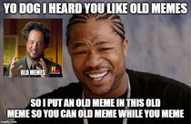 Yo Dawg I heard you like old memes