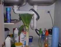 You appear to have a serious leak under your sink