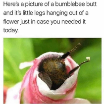 You can do it lil bee