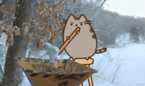 You dont mess with Pusheen