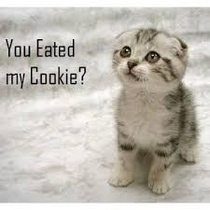 You Eated My Cookie