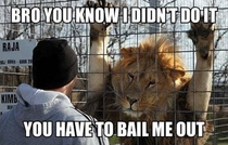 You have to bail me out