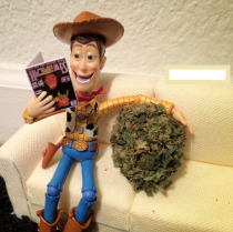 You may be high but youll never be Woody with a tumbleweed-sized nug high
