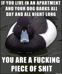 Your dog and your neighbors hate you