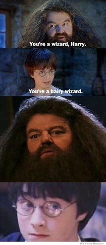 Youre a wizard Harry