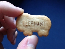 Youre really starting to strain the imagination animal biscuits
