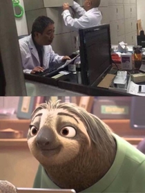 Zootopia in real life