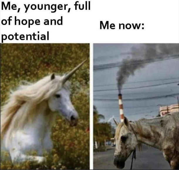Adulting