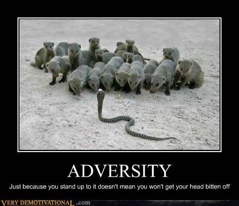 Adversity