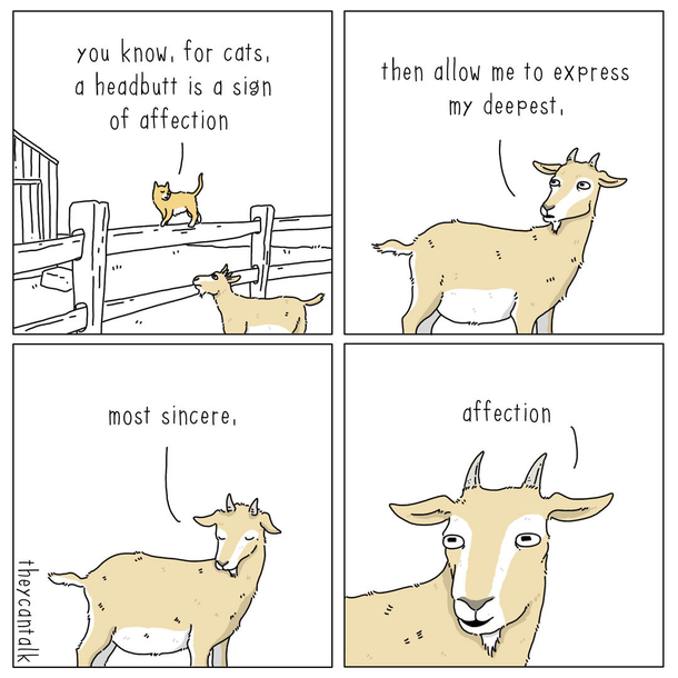 affection