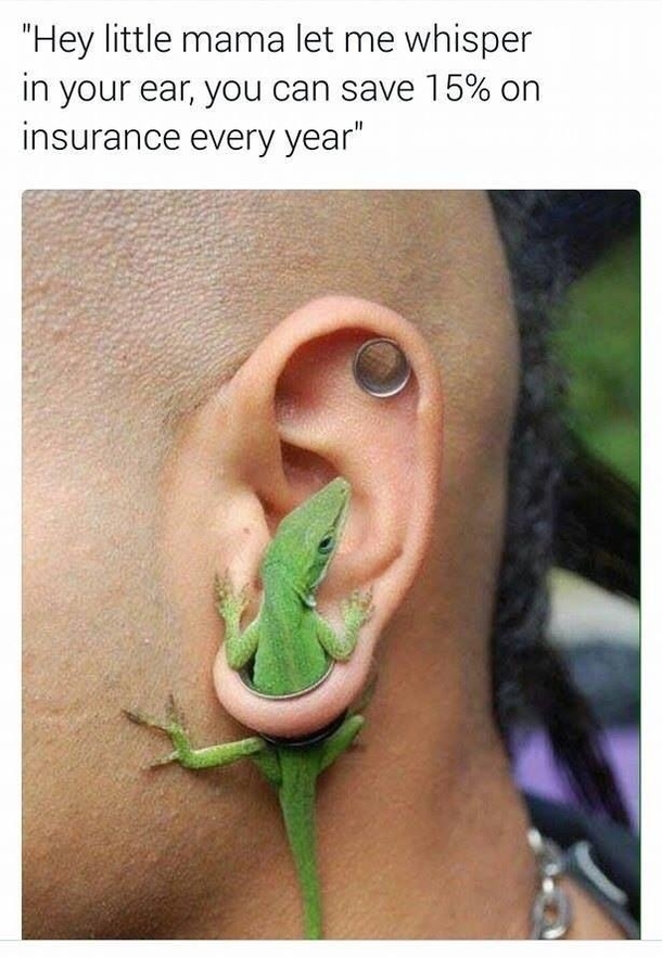 Ahhhhhhhhhhhhh