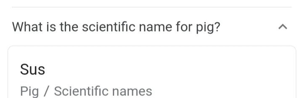 Amongus