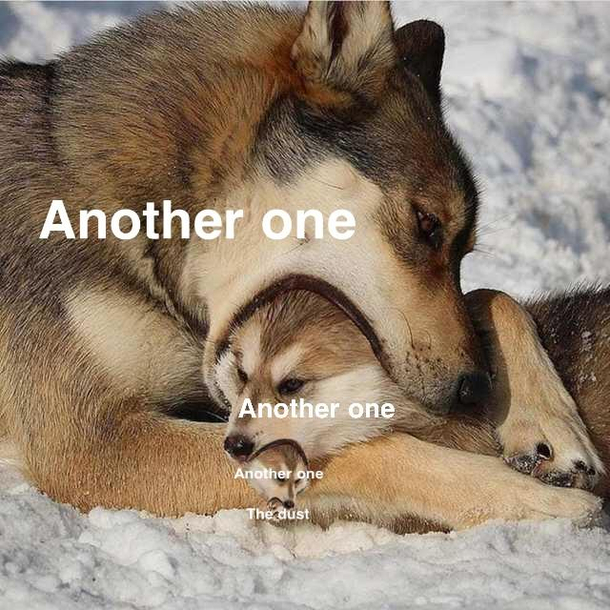An