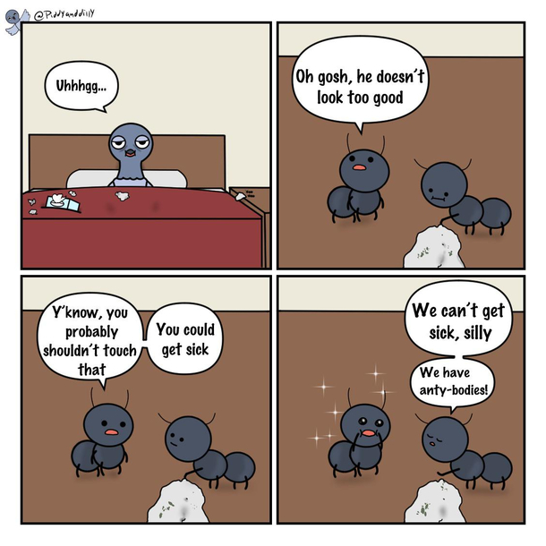 Antibodies