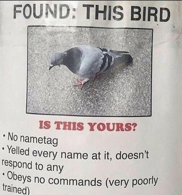 Anyone