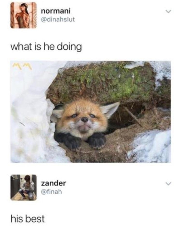 Aw