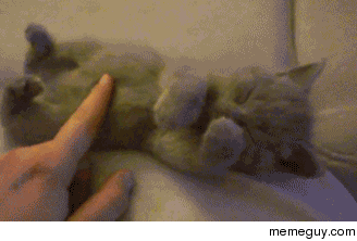 Awwww