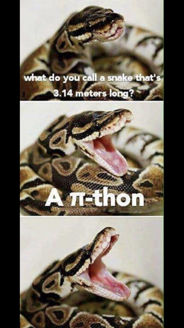 Ayyy