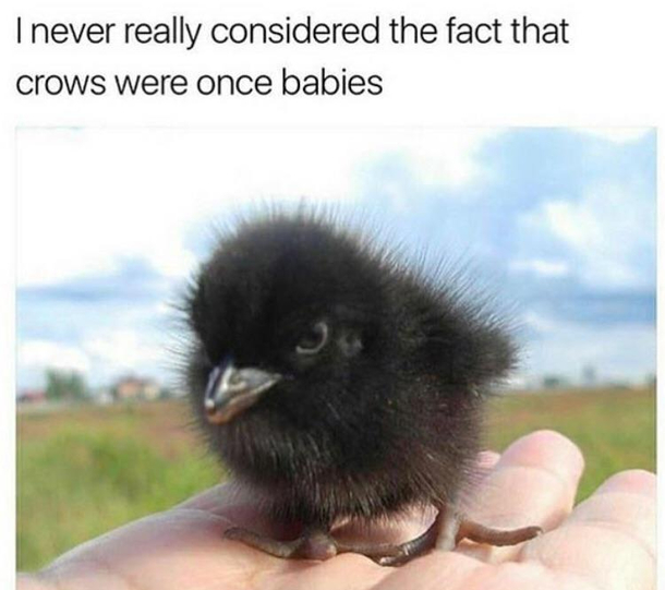 Baby