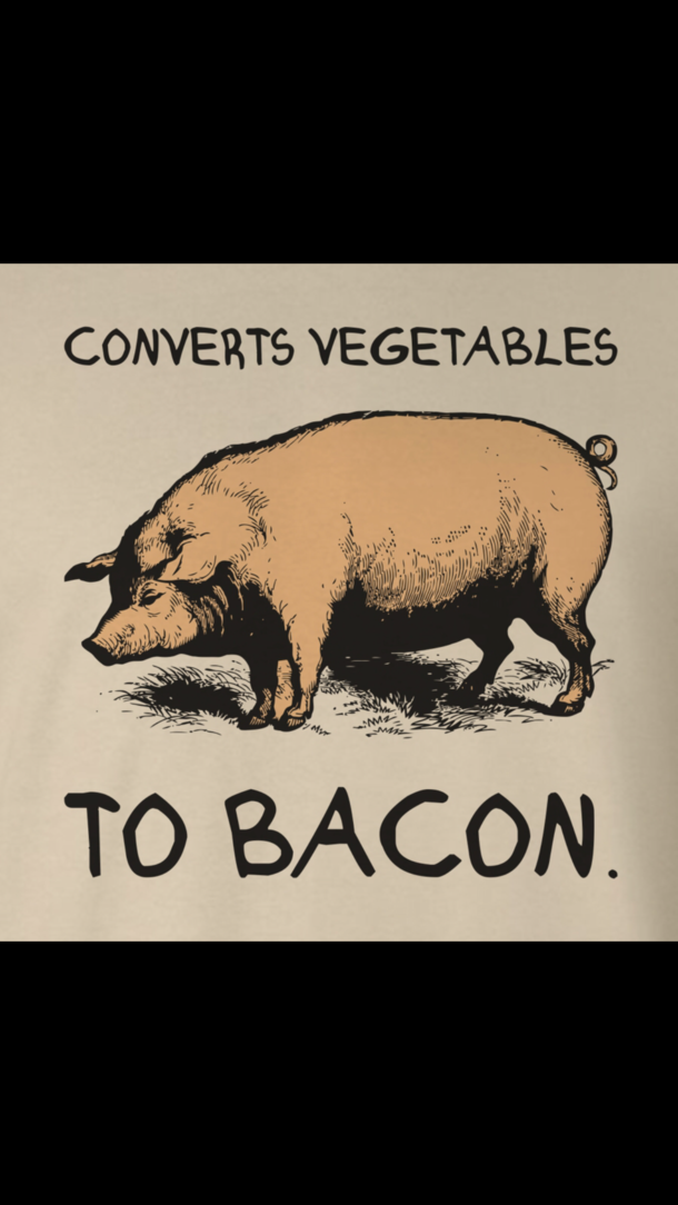Bacon