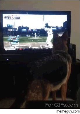 BALL