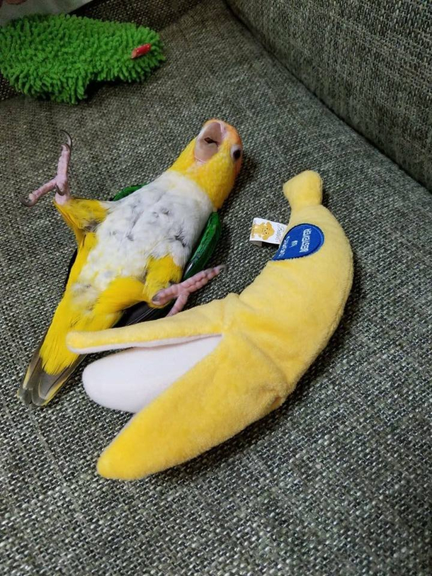 Banana