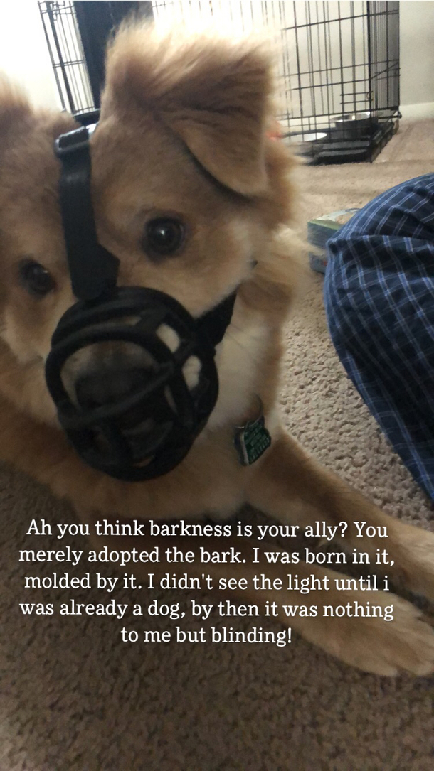 Bane