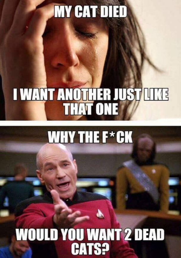  because two are better than one