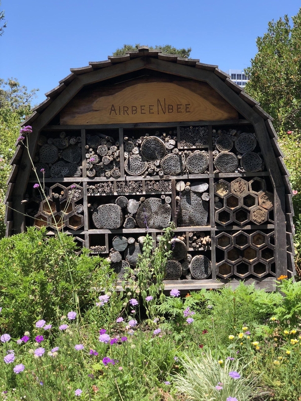 Beehive