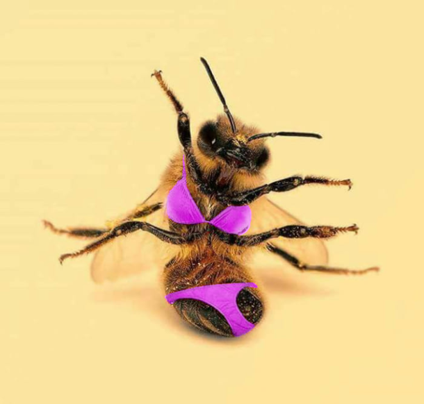 Beekini