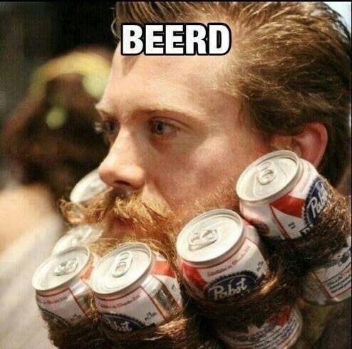 Beerd