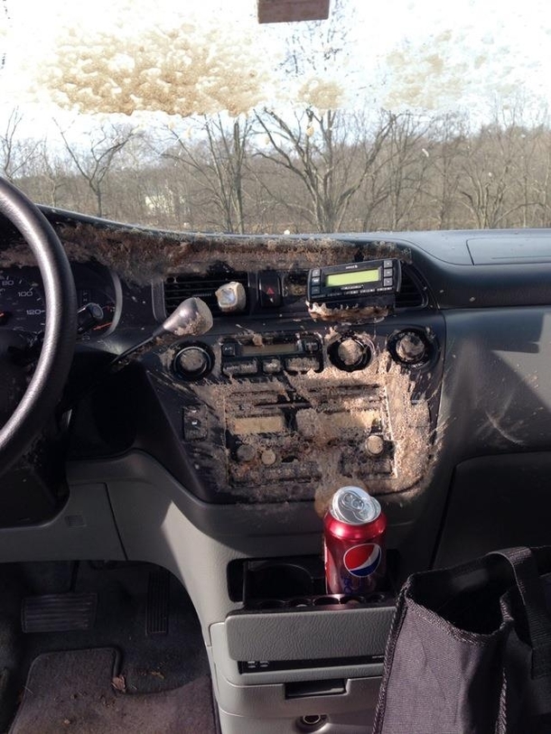  Below Zero meet Can of Soda