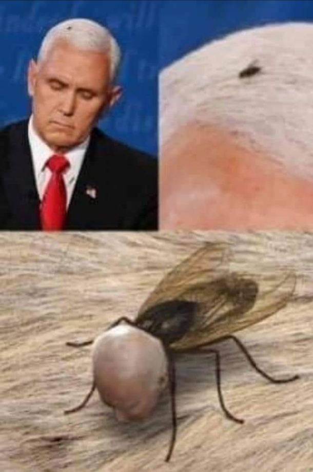 BidenFly