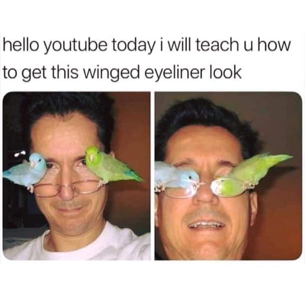 Birbs