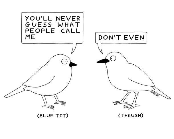  bird names