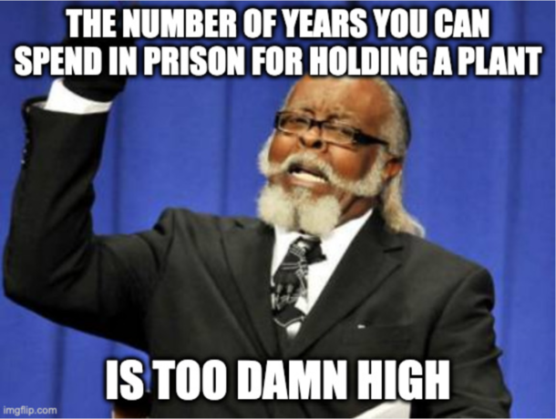  blaze it