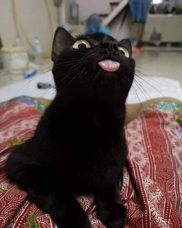 Blep