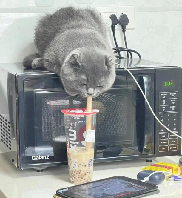Boba