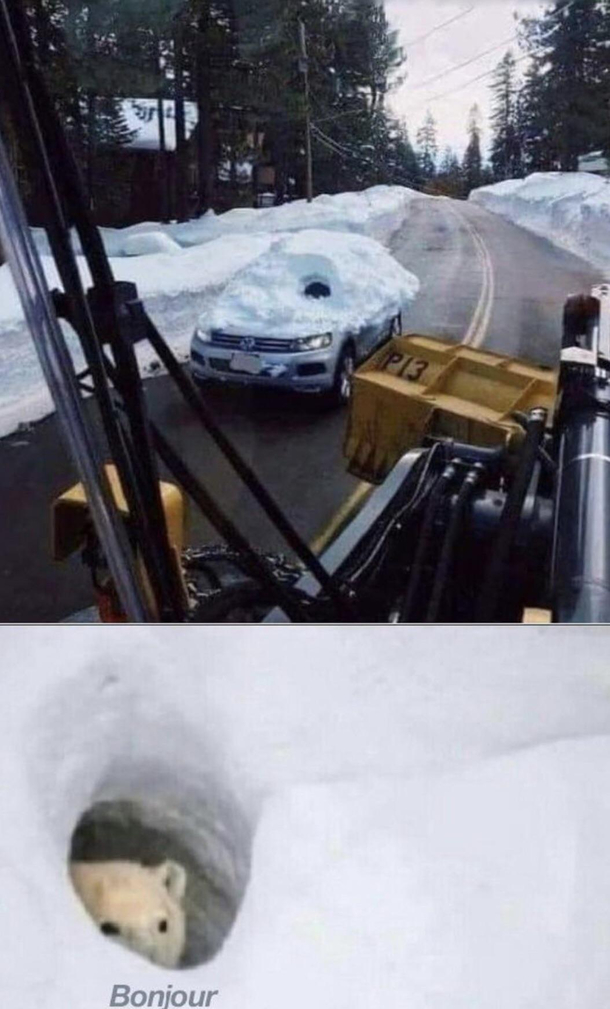 Bonjour