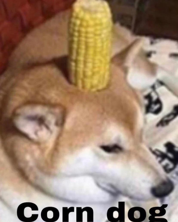 bonk