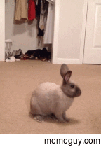 Boo