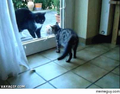 BOO